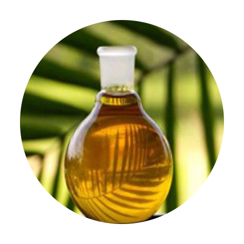 Bottle of golden Vitamin A oil with palm leaves in the background